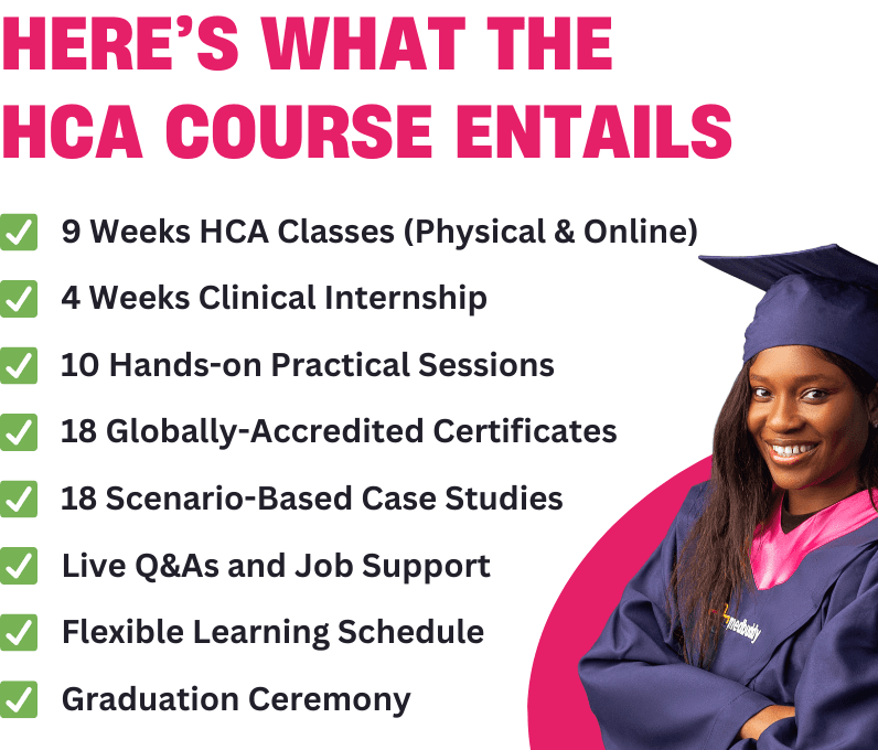 Section display image